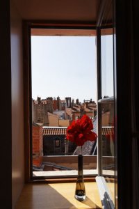 mid_1369069127_les-toits-lyon12