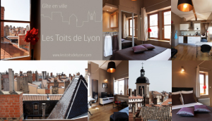 Gite dans le centre de Lyon